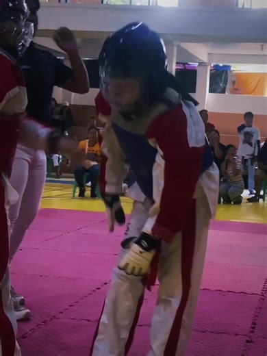 Mastering the Taekwondo Push Kick Technique