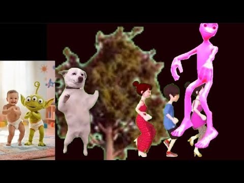 Damu tu cosita dance video