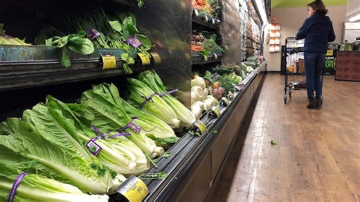 Testing kit offers promise in identifying E. coli-contaminated lettuce before it hits store shelves