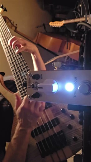 Harley Benton BZ-7000 II 7-string bass + Troubador Acoustic Simulator