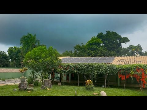 Very strong wind at the farm 😱 See what happened… Very sad 🥹 Storm on the way - Fran Adorno