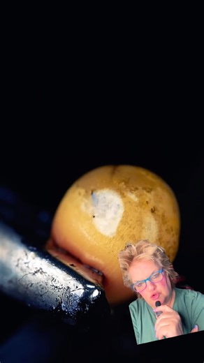 Slow Motion Popcorn Popping! #shorts #popcorn #popping