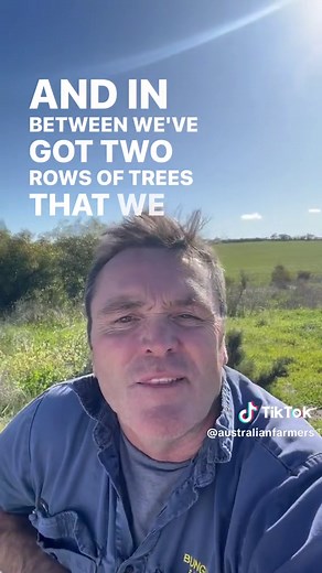🥪 The average Aussie farmer grows enough grain each year to make 3 million loaves 🍞 2 million tins of Milo ☕! Meet Brad Jones & find out more about his farm in Australia’s largest wheat 🌾 growing state, WA ➡ farmers.org.au #learnontiktok #farmtok #agtok #agtokaus