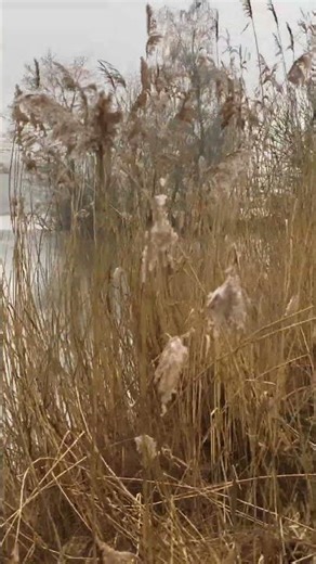 Take My Hand 🫲🏻 And Walk With Me