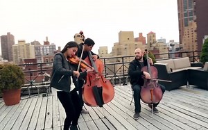 Counting Stars - OneRepublic (violin cello bass cover) Simply Three