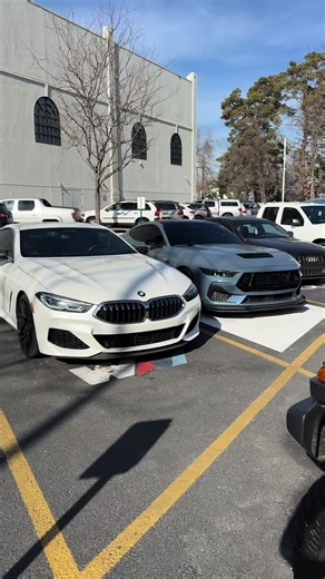 Mustang and M850i @cody #mustanggt #fordmustanggt #bmw #m850i #bmwm850i