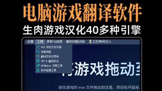 电脑游戏翻译软件、支持40多种引擎、生肉游戏汉化、实时翻译、屏幕OCR翻译、单机游戏辅助、全屏机翻。