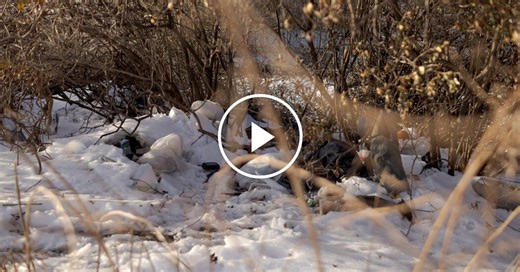 Mamdani Directs Agency to Restart Homeless Encampments Sweeps