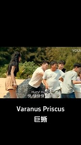 4.3M views · 10K reactions | The man sacrificed himself to lure the monitor lizard to the trap! #巨蜥 #VaranusPriscus #优酷电影 #youkumovie | Youku Movie | Facebook