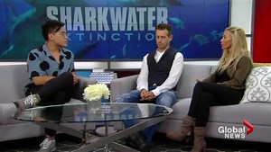 The legacy of Sharkwater director Rob Stewart