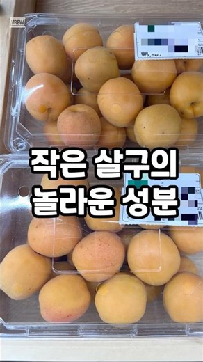 6월~7월 제철을 맞는 살구 #건강정보 #이슈 #시니어건강 #지식 #영양식 #건강습관#과일#살구 #우리동네건강왕 #건강식단 #건강한중년 #음식#여름과일#
