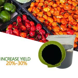 [Hot Item] humic acid water soluble fertilizer Humic Acid powder