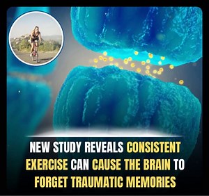 3K views · 22 reactions | Consistent exercise can help individuals...