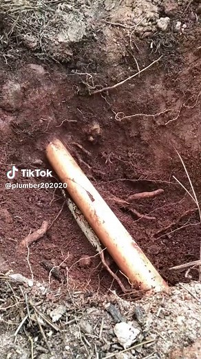 Jean W. Cooper on TikTok