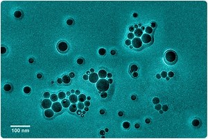 Nanoparticle Tracking Analysis
