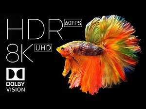 8k HDR 60fps Dolby Vision
