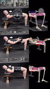 Hip thrust technique 🍑 Variations demonstrated: 1️⃣ Barbell hip thrust 2️⃣ Unilateral DB hip thrust 3️⃣ Bodyweight hip thrust Technique tips: ✅ Posterior pelvic tilt (PPT) hip thrust - posteriorly tilt pelvis to lockout (may reduce spinal erector contribution and compressive forces) - move below sternum - top is slightly hollowed out - tuck chin (helps reduce hyperextension) ✅ Hip thrust with hinge technique - torso moves as one unit, neutral spine - full hip extension, squeeze glutes at top (l