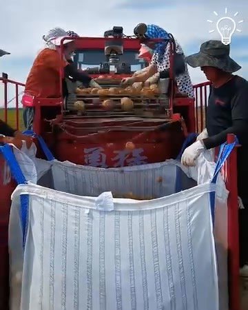 The Best Potato Harvester! 凜 - Hello Idea | Hello Idea | Facebook