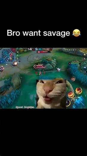 Calculated Hook: The Shut Down Evolution #mobilelegends