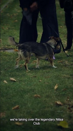 05 MODESELEKTOR DJ KICKS Tour Barcelona