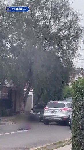 Assassin executes Chilean 'TikTok narco queen' in broad daylight