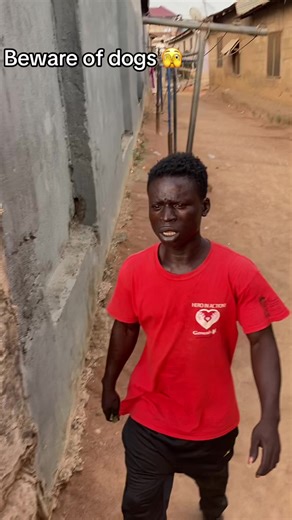 Tips for Dog Owners: Keeping Safe Around Dogs