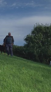 19K views · 426 reactions | After decades working with sniffer dogs at disasters around the world, Neil Powell turned his attention to another powerful - and potentially life-saving - use of our pet dogs' sense of smell  | BBC News NI | Facebook