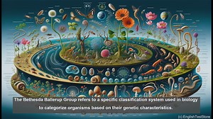 Bethesda Ballerup group in biology