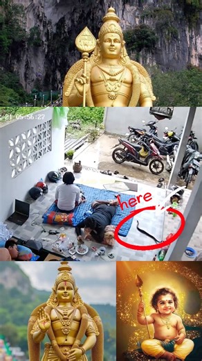 “They Were Sleeping Outside in Daylight… Suddenly a Snake Appeared 😱🐍”