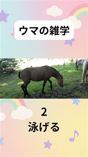 ウマの雑学🐾#20