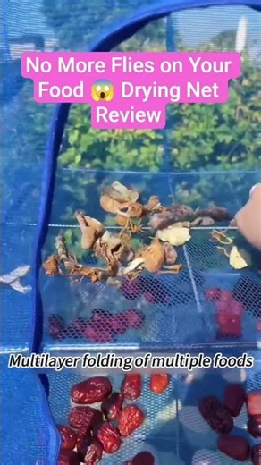 5 Layers Foldable Drying Net 🔥 Dry Food Faster & Keep It Clean! #foodpreservation #foodcontainer