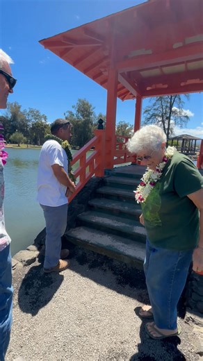 9.1K views · 239 reactions | Iconic Bridge Pavilion Reconstructed at...