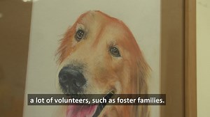 4.6K views · 226 reactions | Preview of Taiwan+ (#TaiwanPlus), a video platform the Ministry of Culture plans to launch in August for English-speaking viewers, so they can become more familiar with the country and its people. Any feedback is welcome, and please email your thoughts to taiwanplus.cna@gmail.com. (Reporters: Ken Ning, Chen Huan-ran and Rik Glauert) | Focus Taiwan | Facebook