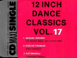 Various - 12 Inch Dance Classics Vol. 17
