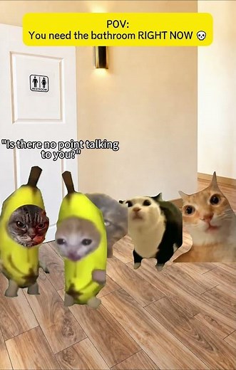 Cat meme: When you really need to use the bathroom.#catmeme #catmemes #funnycats #meme #memes