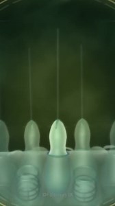 739K views · 5.9K reactions | Box Jellyfish Survival Guide! | How to Survive Show | Facebook