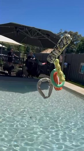 1.7K views · 23 reactions | What do Daryl Braithwaite and RRPR have...