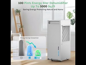 Review: DECIUU Max 100 Pint Dehumidifier – Large‑Room + Basement Moisture Solution for ~5,000 sq ft