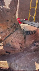 1.2K views · 65 reactions | CHECK OUT OUR NEWEST TREE STUMP CARVING!...