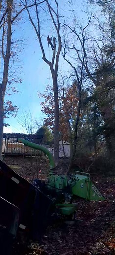 1.5K views | Dropping tops out a big oak we completed yesterday | Top Line Tree Service | Facebook