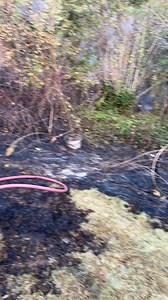 46K views · 14 reactions | Scotty Ray Report on Reels | Facebook