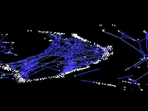 Stretching and Breaking a Spider Web