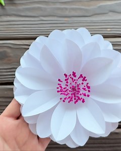 Origami Amazing on Reels