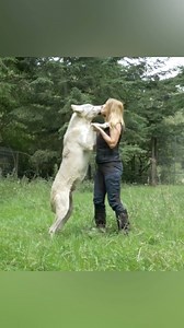 119K views · 6.1K reactions | I feel happy around wolves. They don’t judge or hate.. they just live. It’s a beautiful innocence that can’t be bottled.. #wolf #wolves #whitewolf #wolfgirl | Anneka Svenska | Facebook