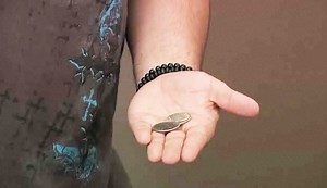 Watch How to Do the Expanded Shell Transfer Coin Trick on Amazon Live