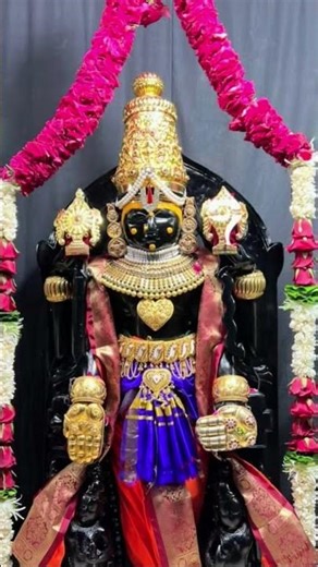 *દ્વારકાધીશ તિરુપતિ રુપ દર્શન*