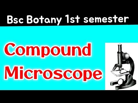 Compound Microscope | Parts, working, advantages, limitations & applications of compound microscope