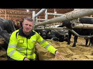 Sådan fodrer man 10.500 køer