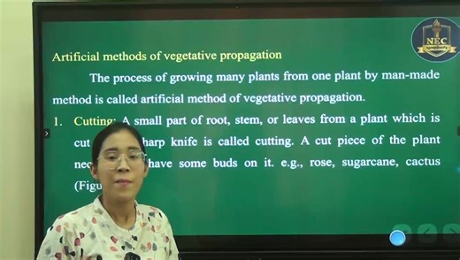Grade 10 Biology Chapter - 5 "Artificial methods of vegetative propagation" အကြောင်းကို ဆရာ/ဆရာမ နှင့် ကျောင်းသား/ကျောင်းသူများ အတွက် NEC မှ ပညာဒါန Video file လေးမျှဝေပေးလိုက် ပါတယ်ခင်ဗျာ။ "ပညာလိုလား နိုင်ငံသားတို့၊ အားထားယုံကြည် NEC..." ဆက်သွယ်ရန် Facebook page https://www.facebook.com/nec.educare?mibextid=LQQJ4d သင်ရိုးကုန် video File ဝယ်ယူလိုပါကလည်း ဒီ Facebook Page လေးကနေ ဆက်သွယ်ဝယ်ယူနိုင်ပါတယ်ခင်ဗျ။ #foryou #fyp #education #teacher #student #Grade10#Biology | Noble Educare Centre - NEC