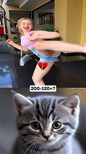 Who is the last one 😂 #funny #memes #cat #trending